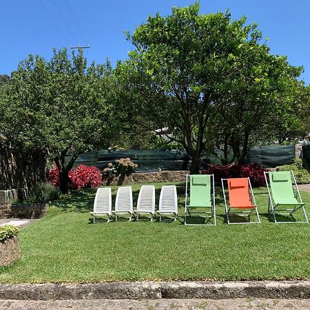 Casa Praia E Campo ビアナドカステロ エクステリア 写真